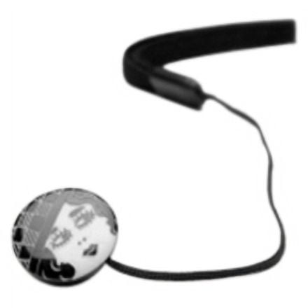 B & W Flapper Cap Saver