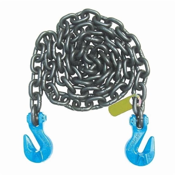 B/a Products Co 5/16 Grade100 Tagged Recovery Chain 20Ft G10-51620SGG