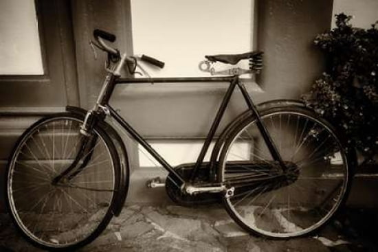 B and W Vintage Bicycle Canvas Art - Dennis Frates (24 x 36)
