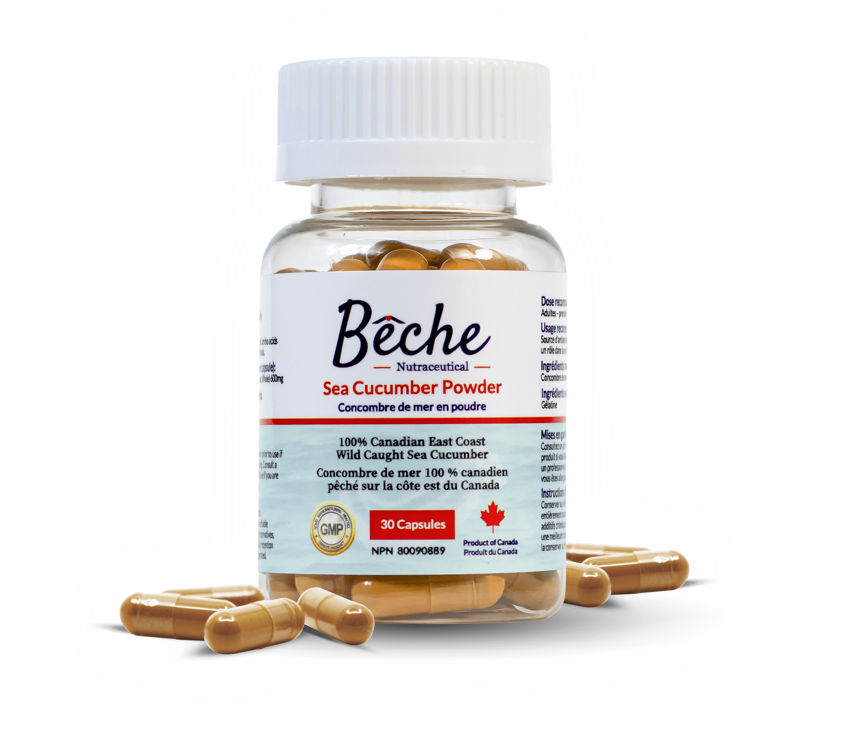 Bêche Sea Cucumber Capsules 600mg 30 Count