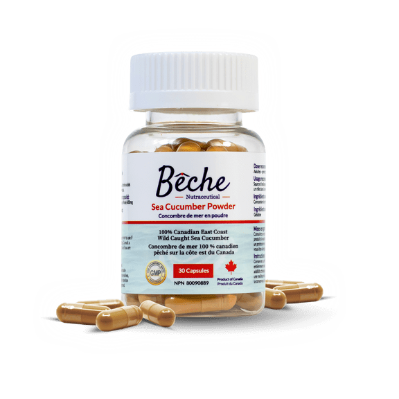Bche Sea Cucumber Capsules 600mg 30 Count