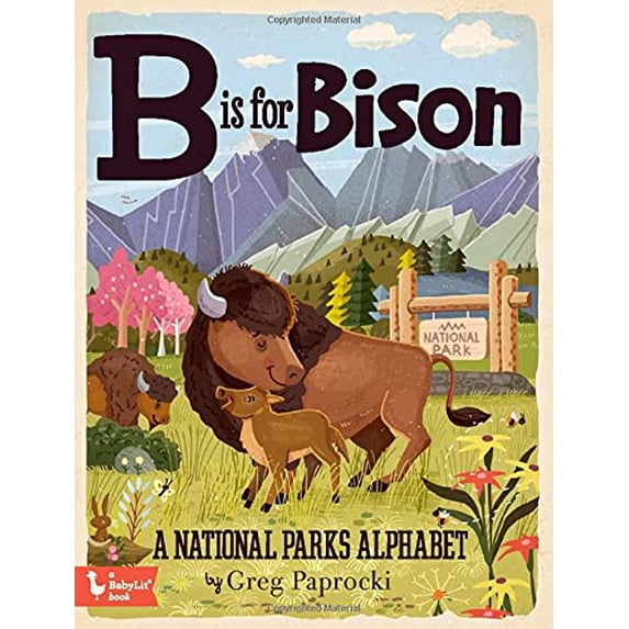 Pre-Owned B is for Bison: A National Parks Alphabet (Babylit) Paperback
