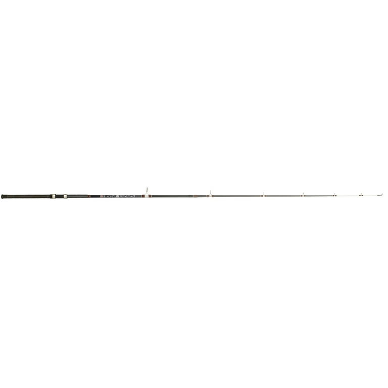 B'n'M Poles Silver Cat Catfish Series Fishing Rod 8 Ft. 2 Pieces