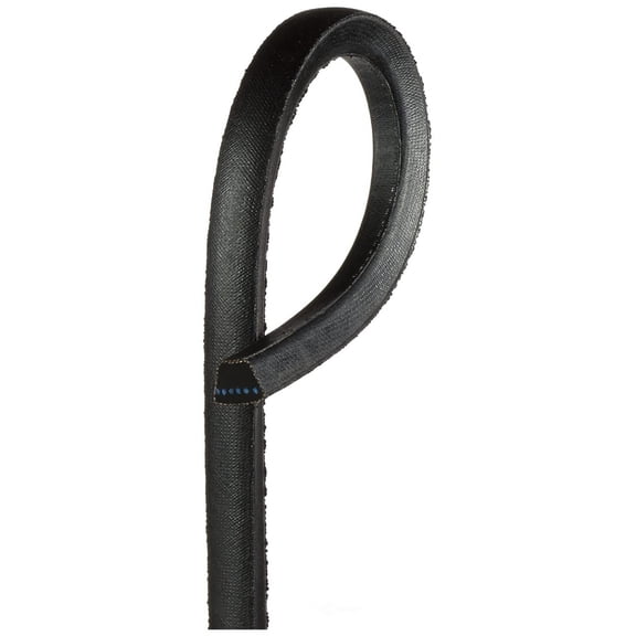 B32 Hi-Power II Belt J101