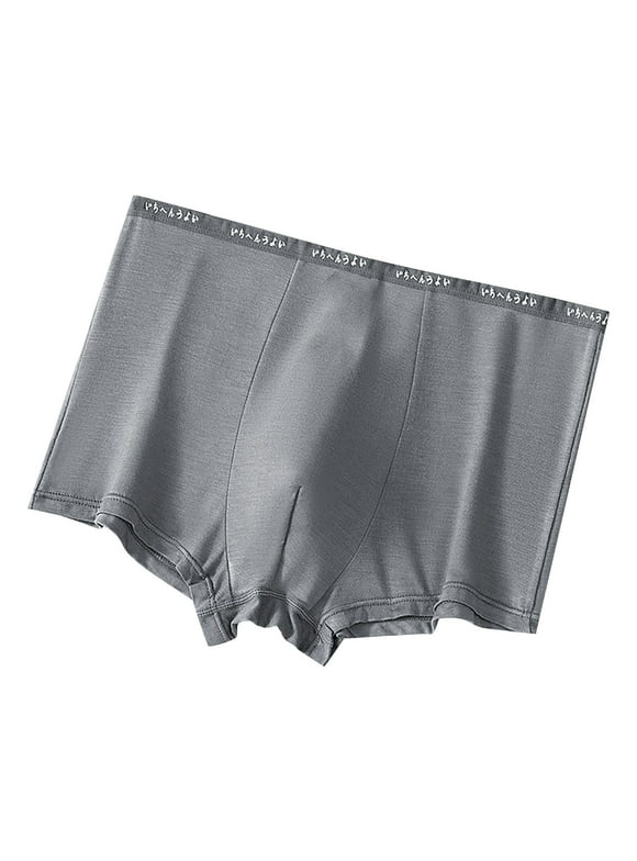 B91xZ Hanes Boxer Briefs for Men Cool Comfortable Men's Boxer Shorts,Dark Gray L