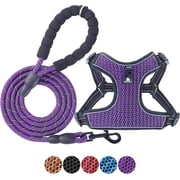 BAAPET Breathable Dog Harness for Small Puppy, Medium Dogs Step-in and Air Mesh with 6 Feet Reflective Rope Dog Leash M - 6 FT x Chest 1822, Purple