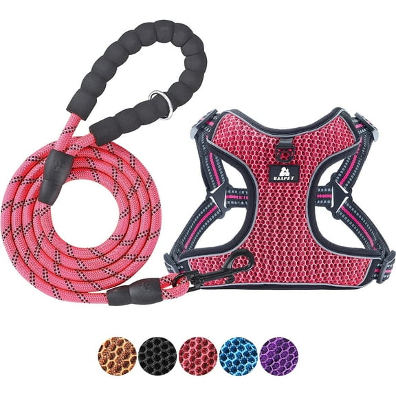 BAAPET Breathable Dog Harness for Small Puppy, Medium Dogs Step-in and Air Mesh with 6 Feet Reflective Rope Dog Leash (S - 6 FT x Chest (17~19''), Pink)