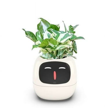 LEGO 40588 Botanical Edition, Adult Set: Flowerpot with Cherry Blossom ...