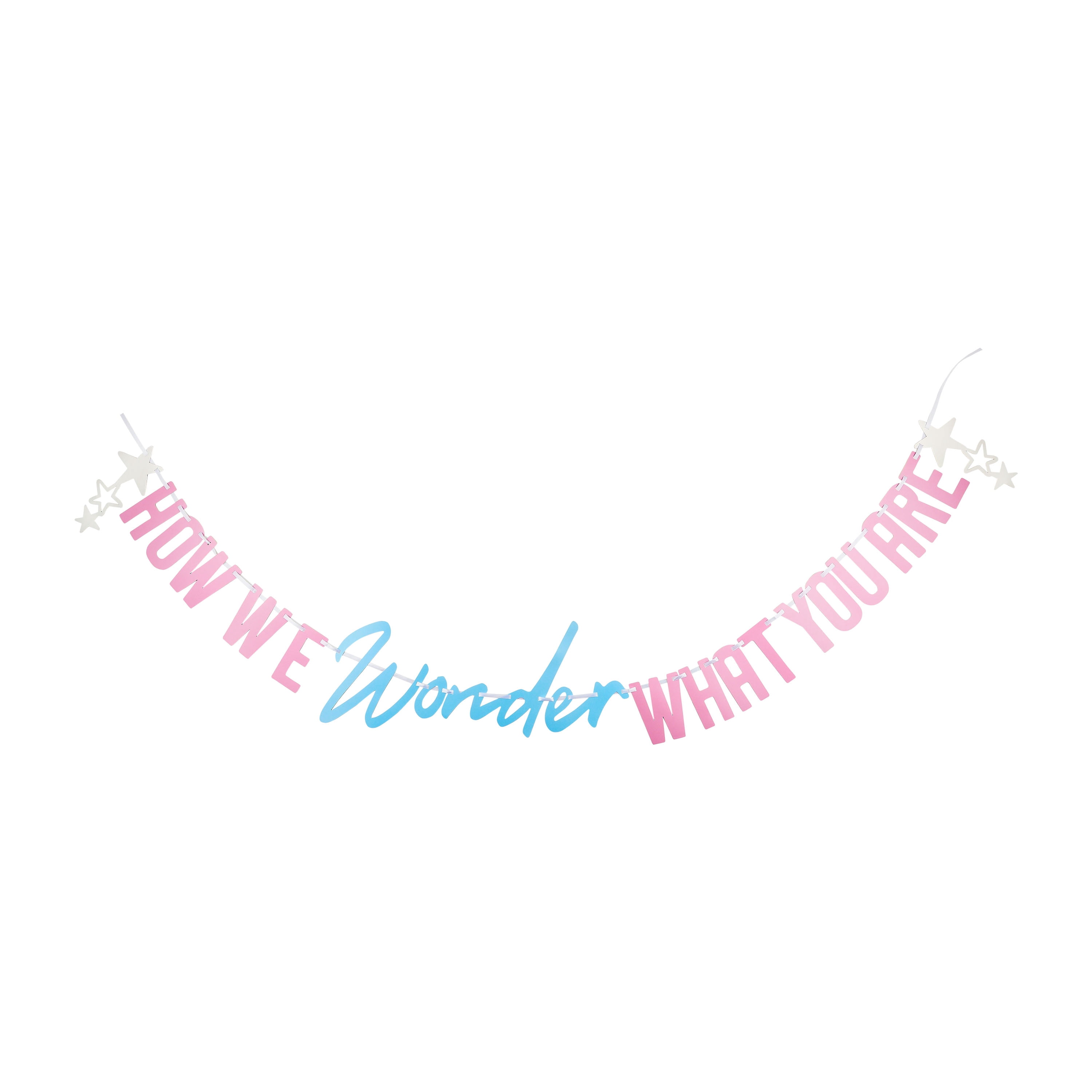 Pink/Blue Gender Reveal How We Wonder What You Are Banner, 76", by Way To Celebrate