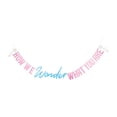 thumbnail image 1 of Pink/Blue Gender Reveal How We Wonder What You Are Banner, 76", by Way To Celebrate, 1 of 5