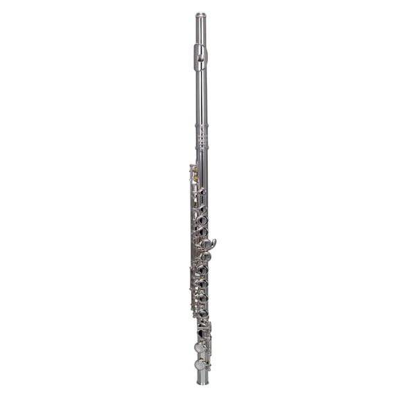 BAC Musical Instruments Apprentice Flute, Beginner, 1 Pack