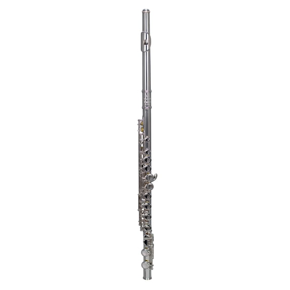 BAC Musical Instruments Apprentice Flute, Beginner, 1 Pack