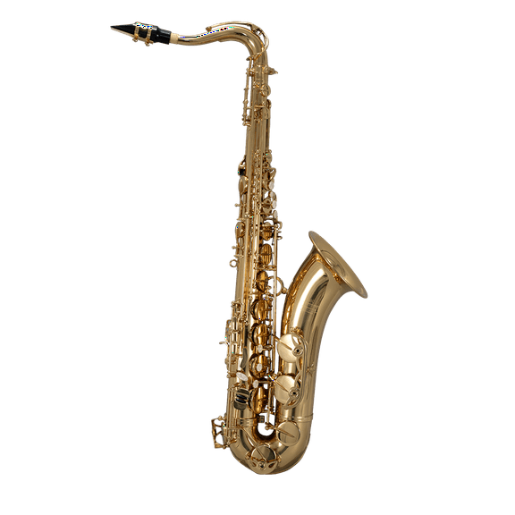 BAC Musical Instruments Apprentice Tenor Saxophone, Beginner, Gold Lacquer