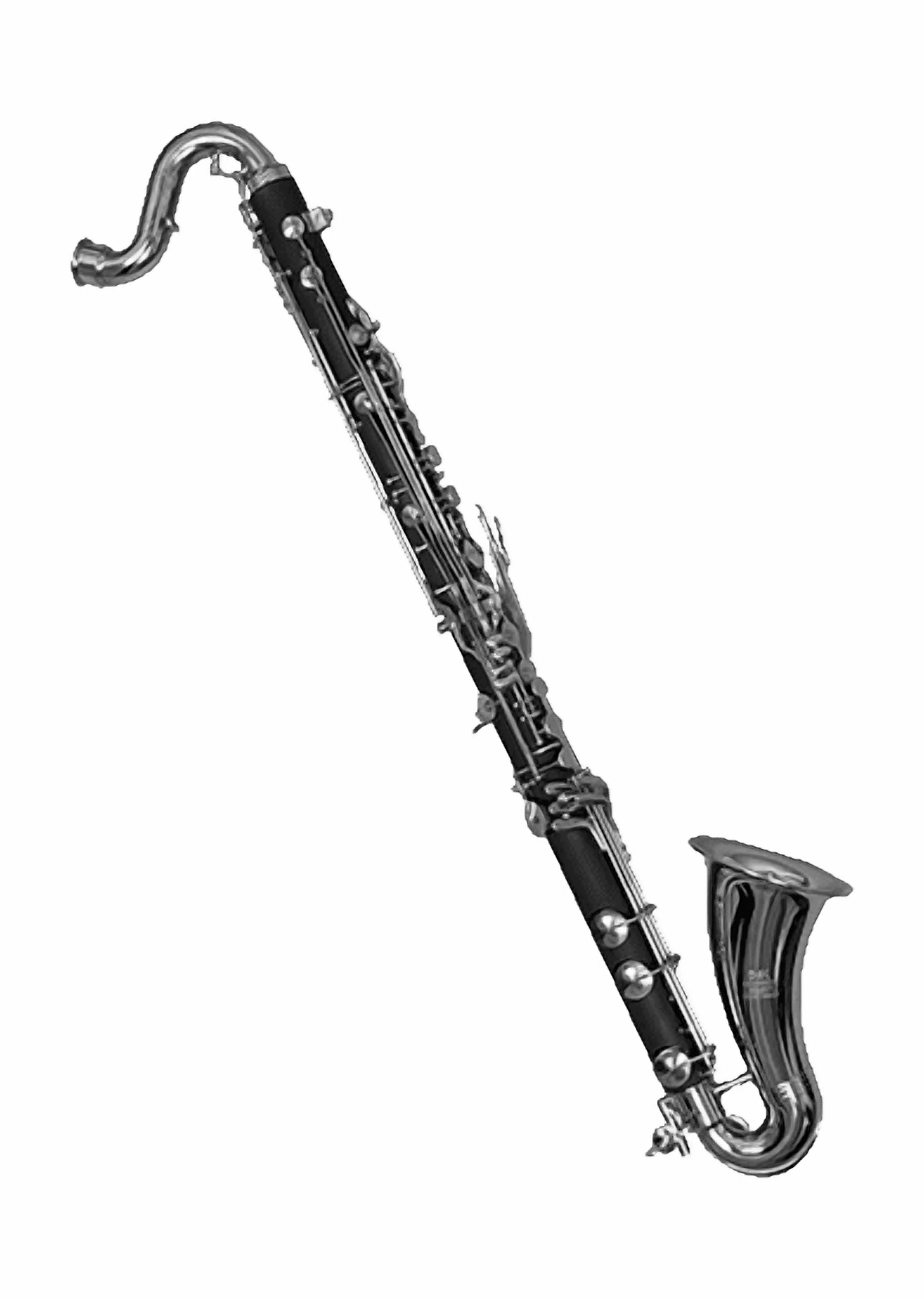 BAC Musical Instruments "Select" Bass Clarinet - Black, New, Woodwinds