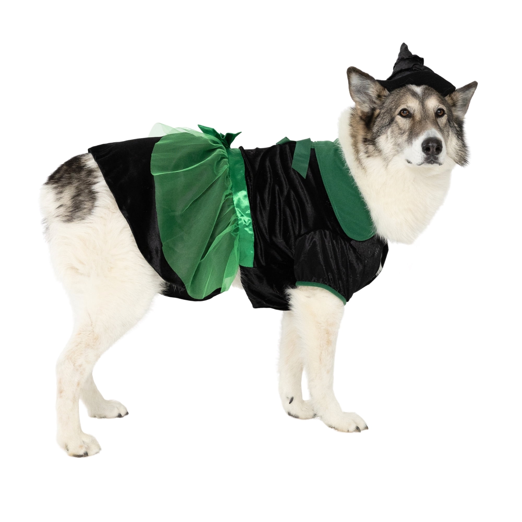 Vibrant Life Halloween Bad Witch Costume for Dogs, Green and Black, Extra Large