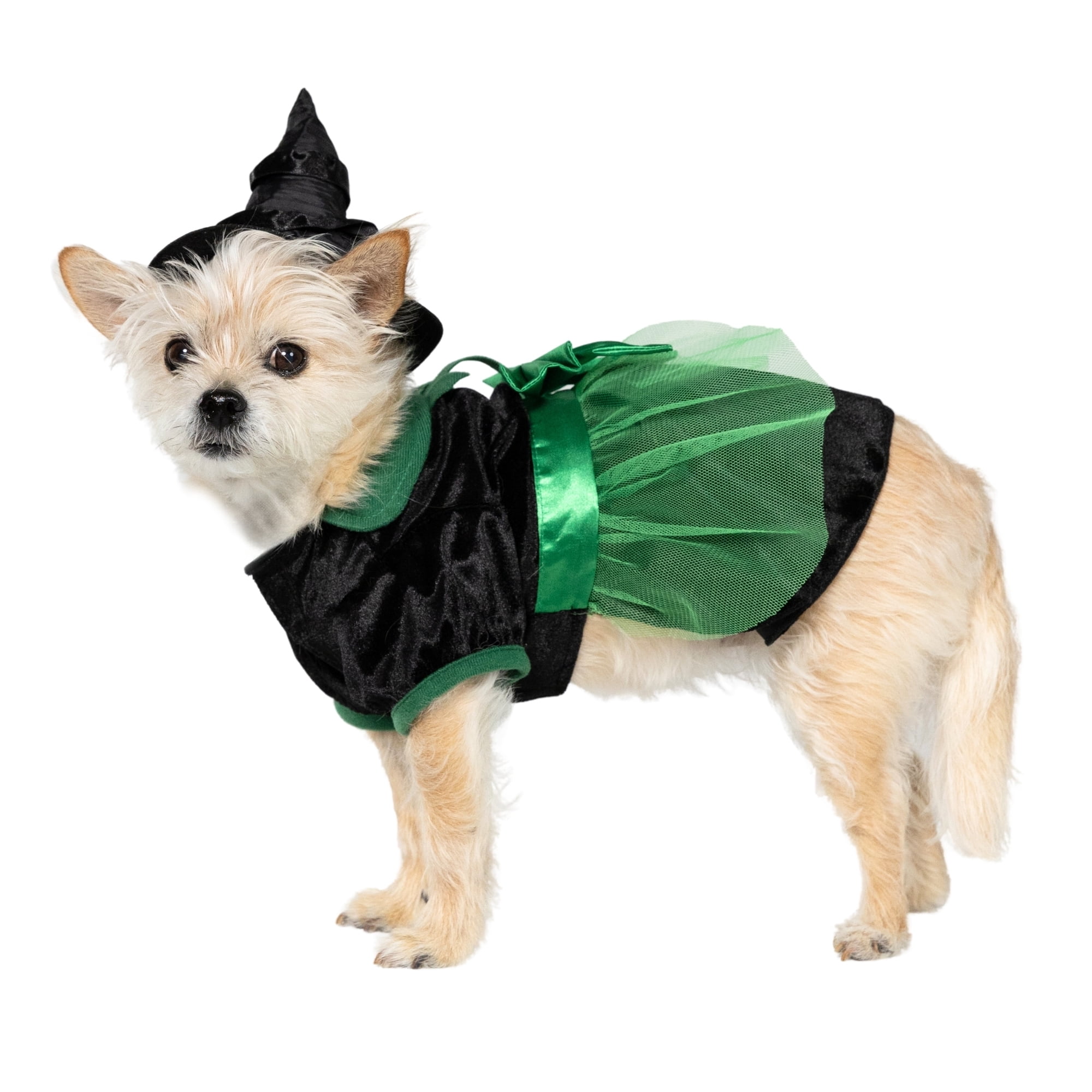 Vibrant Life Halloween Bad Witch Costume for Dogs and Cats, Green and Black, Extra Small