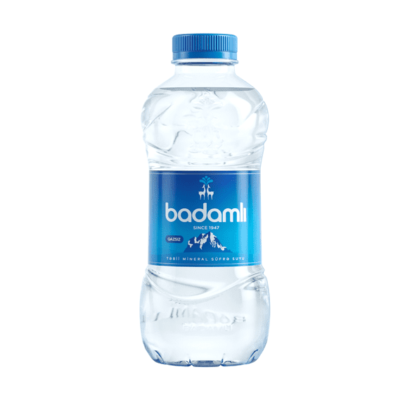 BADAMLI Premium Natural Mineral Water pH 7.5 | 11.2 fl oz (330 mL) Still Water in Plastic Bottle | Daily Hydration | Pack of 20