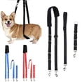 thumbnail image 1 of BAETEUY 3Pcs Pet Grooming Kit with Grooming Ring Multi-functional Adjustable Extension Strap Pet Grooming Rope, 1 of 8