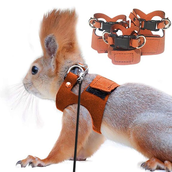 BAETEUY Bearded Dragon Harness And Leash Set Adjustable Lizard Nylon Rope Small Animal Accessories