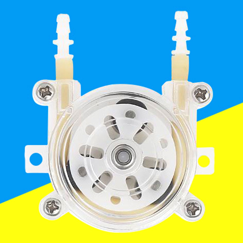 BAETEUY DC Simple Peristaltic Titration Liquid Dosing Pump for Ceramic
