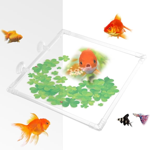 BAETEUY Fish Feeding Ring, Aquarium Floating Food Feeder, Square Ring with Suction Cup, Fish Tank Accessories, Guppy, Betta, Goldfish, Perfect for Feeding