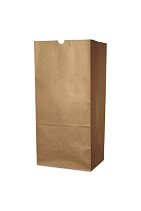 SK1665 12 x 7 x 17 in. 66 lbs Kraft 0.17 BBL Paper Grocery Bag, Standard, 500 Piece