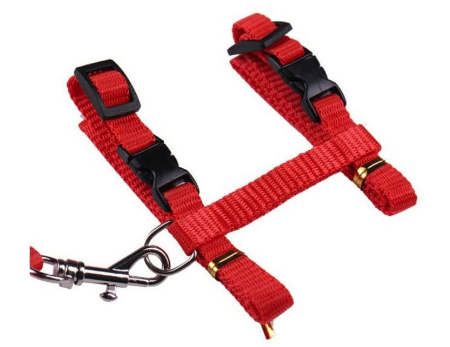 BAGGURR Adjustable Nylon Cat Traction Rope Harness, Black, S (10