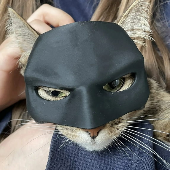 BAI HUO Cat Batman Mask, Hilarious Black Bat Mask For Cats, Pet For Or Everyday Fun