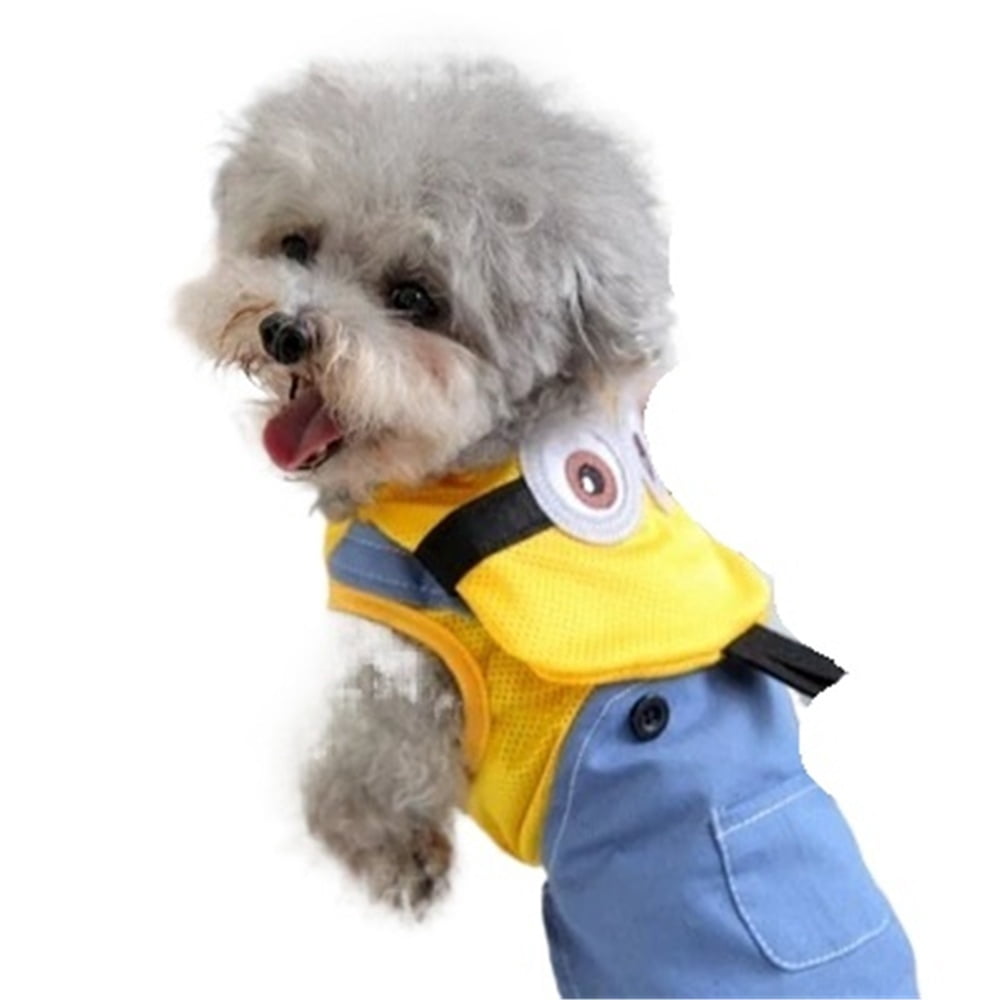 BAIANNAN Cooling Dog Clothes Summer Cute Funny Pet Costumes For Small ...