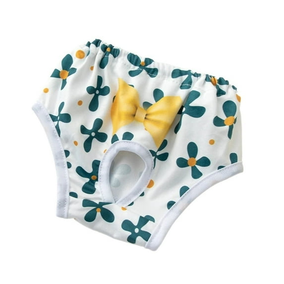 BAIANNAN Pet Physiological Pants Princess Pet Panties Dog Menstrual Pants Physiological Pants Dog Diaper Female Dog Clothes Chihuahua