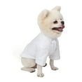 thumbnail image 1 of BAIANNAN Spring and Autumn Pet Bottoming Shirts Versatile Slim Dog Clothes Boutique Pet Trendy Clothes, 1 of 5