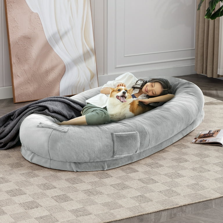 Dog shop futon bed