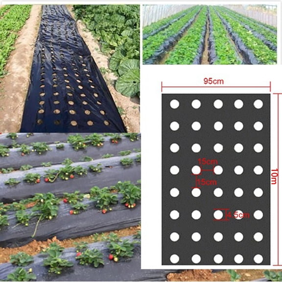 BAMILL 5-Holes Gardening Flower Vegetable Plastic Perforated PE-Film Mulching Membrane