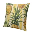 thumbnail image 1 of BANET Cushion Case Print Throw Pillow Covers for Sofa Couch Bed Car Decor Fruit Decorative Pillow Case Pillowcase Pattern Outdoor Pillows Covers 22x22in, 1 of 5