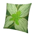 thumbnail image 1 of BANET Decorative Throw Pillow Covers, Spring Summer Pillow Covers Green, Square Pillow Cases Modern Boho Pillow Covers for Sofa Couch Living Room Farmhouse Outdoor Home Decor White, 1 of 5
