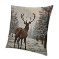thumbnail image 1 of BANET Decorative s for Sofa 24x24in, 1 of 5