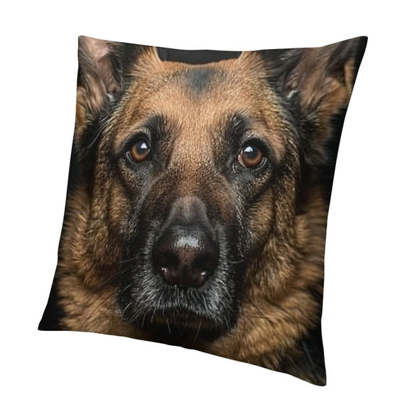 BANET Dog Pillowcase Pillow case Square Bedroom Livingroom Sofa 24x24in