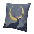 thumbnail image 1 of BANET  Double-Sided Pattern Bulk Square Short Plush Pillow Case Pillow Case Cover Couch Short Plush Pillow Case Modern Room Decor 24x24in, 1 of 5