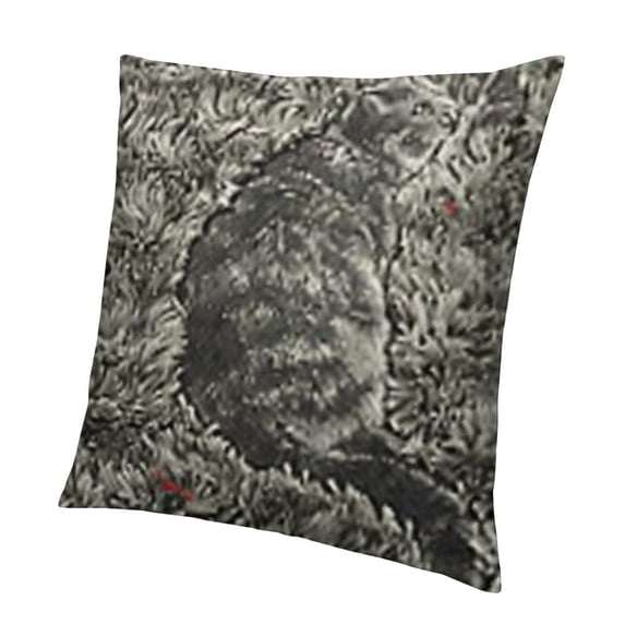 BANET Faux Rabbit Fur Pillowcases Standard/Queen Solid Velvet Back Throw Pillow Cover Zipper Closure Soft and Fluffy Modern Home Decorative 24x24in