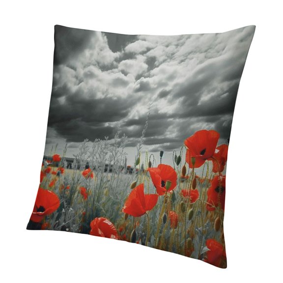 BANET  Floral Throw Pillow Cushion Cover, Greyscale Poppy Field in Spring Time Blooming Flowers Grass Open Sky Photo, Decorative Square Accent Pillow Case 18x18in