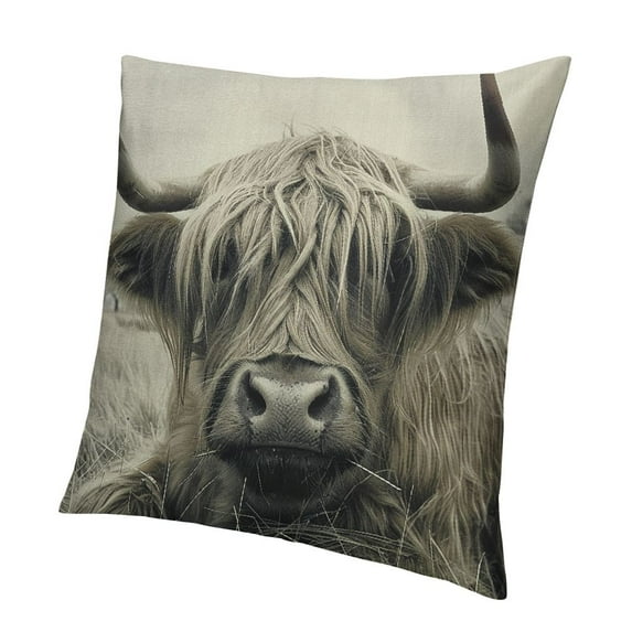 BANET Highland Throw Pillow Covers ,Decorative Print Pillow Covers for Couch,Western Decor Pillows,Square Cushion Case, Decor Stuff for Couch Safa Chair Bed 22x22in
