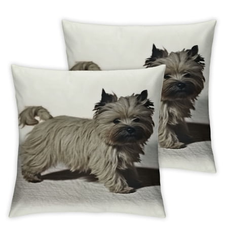 BANET Home is Where My Dog is Lovely & Cairn Terrier Words Decorative Home Sofa Decor Pillow Shams , 2 Pack 18x18in