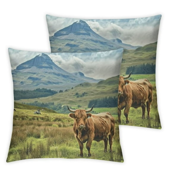 BANET Pack of 2, Outdoor Scene with , Zippered Double-Side Digital Print Decor 24x24in