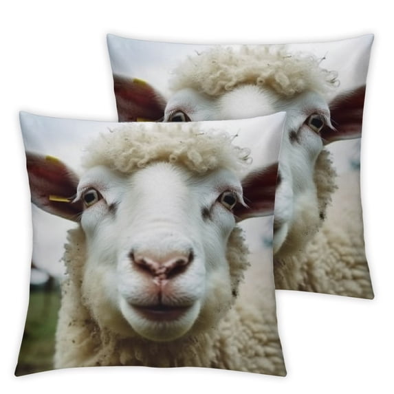 BANET Pattern ,Throw Decor for Couch Bedroom Living for Men Women Pack of 2 20x20in