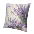 thumbnail image 1 of BANET Rustic Flowers Throw Pillow Covers Decorative Colorful Pillow Cases Modern Square Pillowcases Abstract Retro Vase Throw Cushion Case for Sofa Living Room 24x24in, 1 of 5