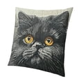 thumbnail image 1 of BANET Sofa Pillow Case, Decorative Throw Pillow Cushion Cover for Home Office- Cute Gray Chinchilla 24x24in, 1 of 5