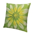 thumbnail image 1 of BANET  Spring Pillow Cover Watercolor Daisy Decorations Seasonal Farmhouse Summer Pillow Case Decor for Sofa Couch White, 1 of 5