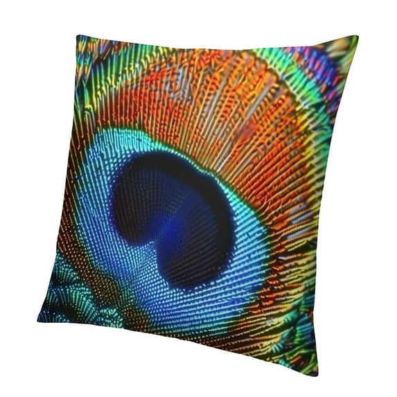 BANET Square Velvet Fabric Throw Pillow Cushion Cover Pattern Feathers Double Sides Various 20x20in