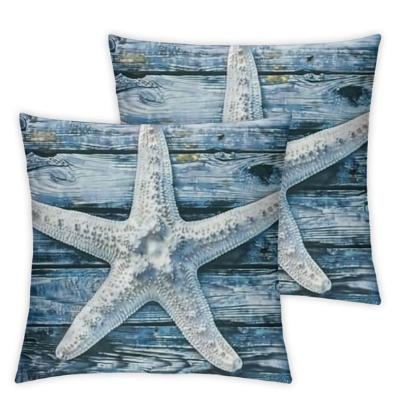 BANET Summer Throw Pillow Covers Set of 2 Themed Pillow Cases Wood Plank Decorative Cushion Cases for Outdoor Couch Patio 24x24in
