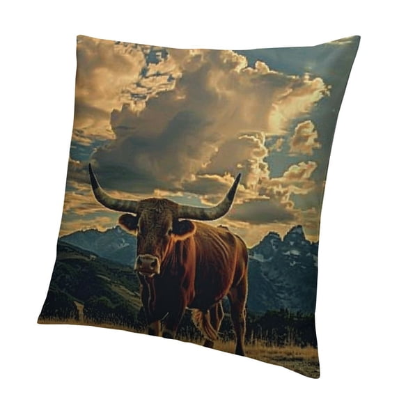 BANET Throw Pillow Cover in Rural Pillowcase Home Decor Square Pillow Case 18x18in
